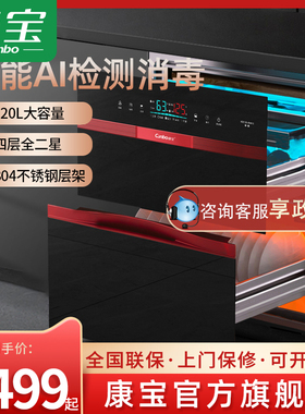 康宝XDZ120-EN910嵌入式二星级消毒柜家用餐具消毒碗柜120L大容量