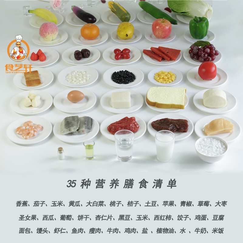 营养膳食宝塔模型 婴幼儿辅食食物交换份模型N金字塔 迷你食物模
