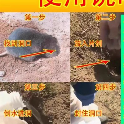 熏鼢鼠药片e灭哈哈瞎老田鼠地排子地爬子哈老药地下哈哈瞎老鼠药