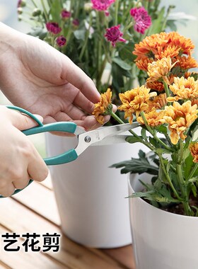 速发ECH刀花锈钢园艺花剪家用盆栽剪子不艺插花剪O加长修枝剪