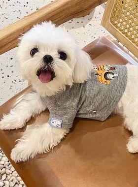 速发小型犬灰色秋冬季小带纳透气吊可背心比熊泰迪雪爱瑞