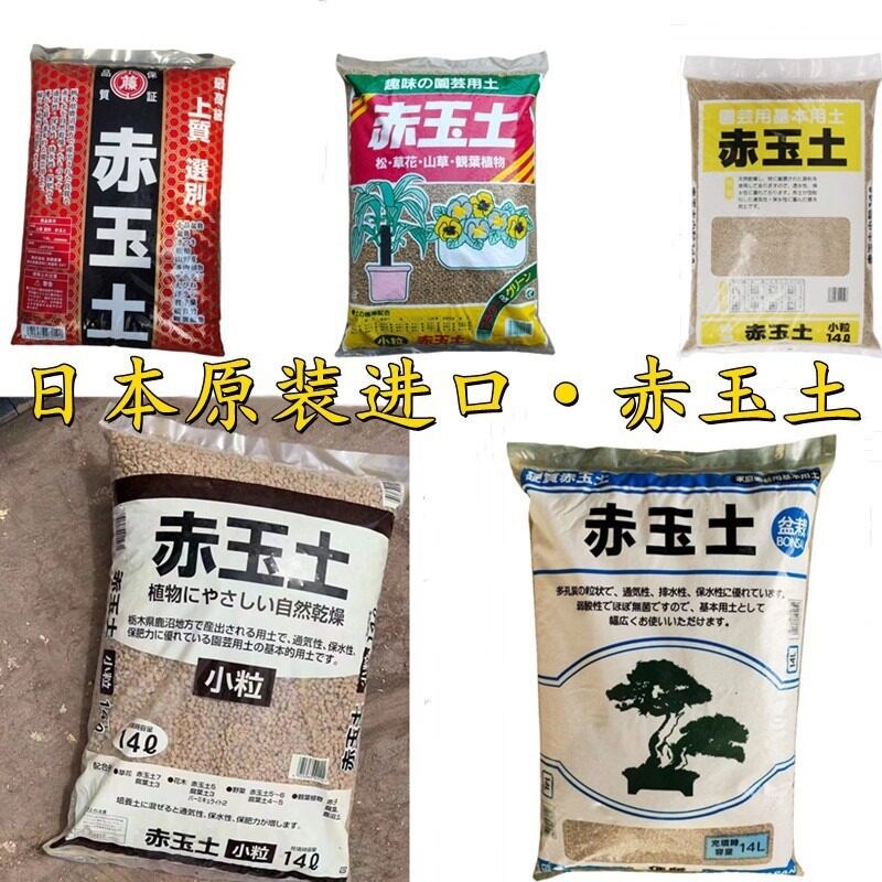 速发赤玉土栎木兰花植物九米营养颗粒土铺面石加藤大柿园艺基质颗