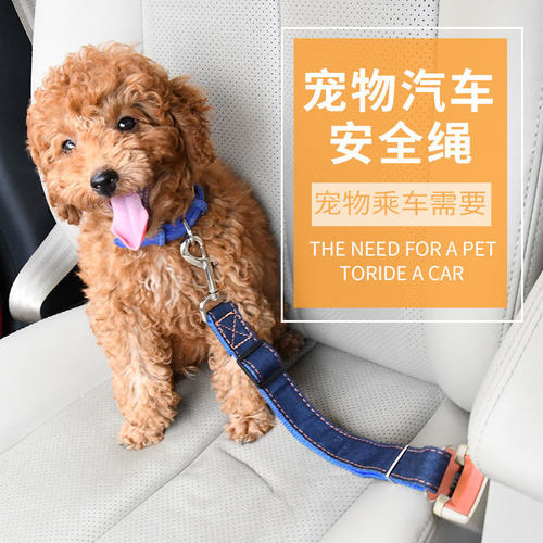 速发Pet ctsetr rope dog c sety bel  yr st tractio b