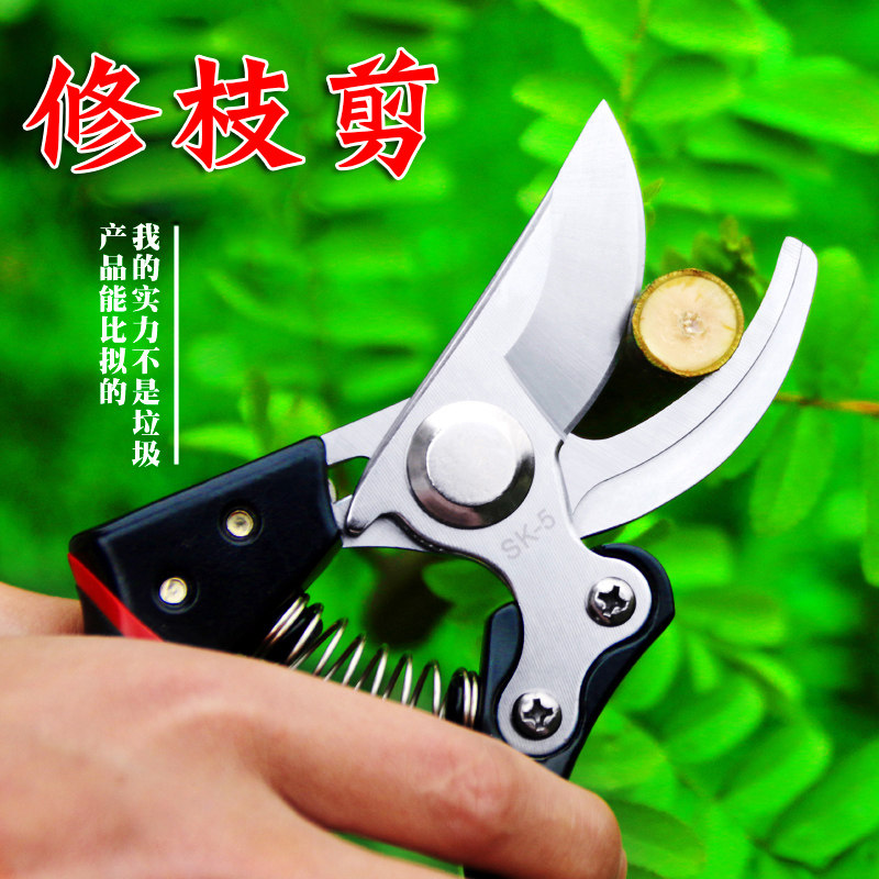 速发园艺艺葡果树修枝剪刀萄采果剪省力剪花剪盆栽修花枝剪园林工