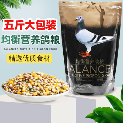 速发鸽粒鸟养鸽子饲料玉米粮豌豆营食饲料鸟食信鸽赛鸽5斤装
