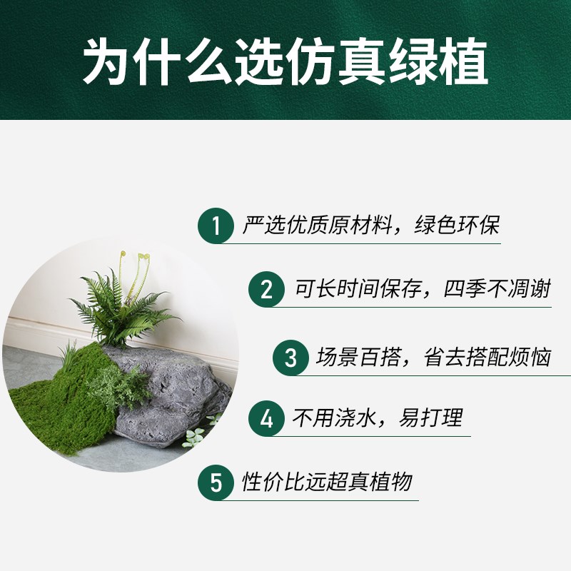 速发蕨类植物造景新中式室内绿植假石头景观酒店花槽苔藓装饰摆设