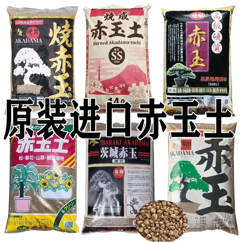 速发软质烧九玉土二本线龙泉茨城赤米黑田烧大包玉赤土