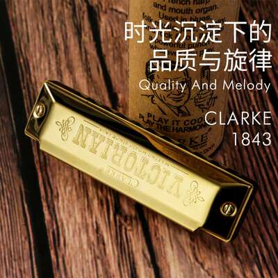 clarke布鲁斯口琴蓝调十孔成人初学者C调蓝调口琴10孔儿童乐器