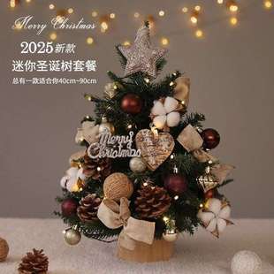 迷你圣诞树带灯2025新款圣诞节装饰桌面摆件家用ins风圣诞树套餐