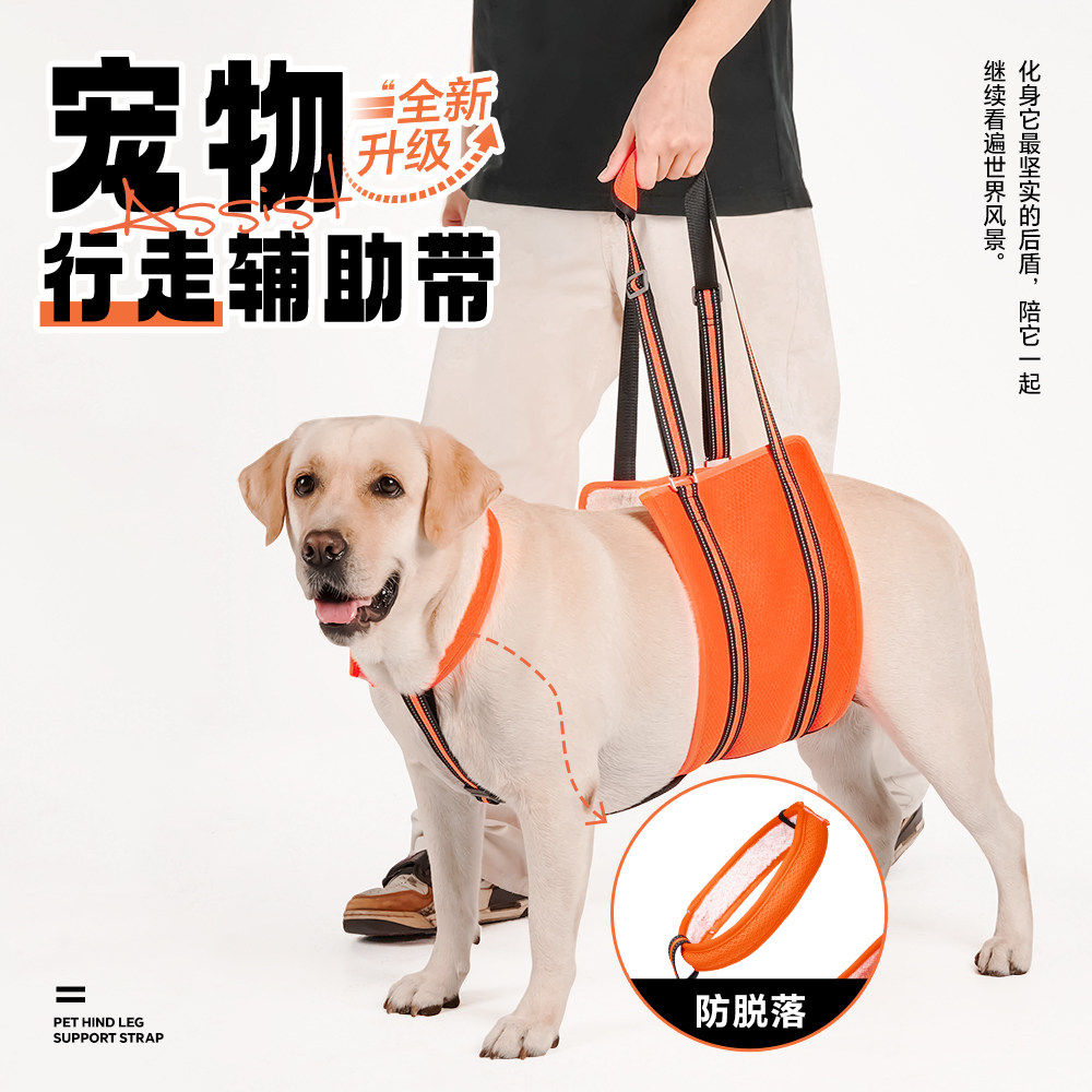【新款防滑】狗行走辅助带后腿无力瘫痪康复助行老年犬上下楼神器