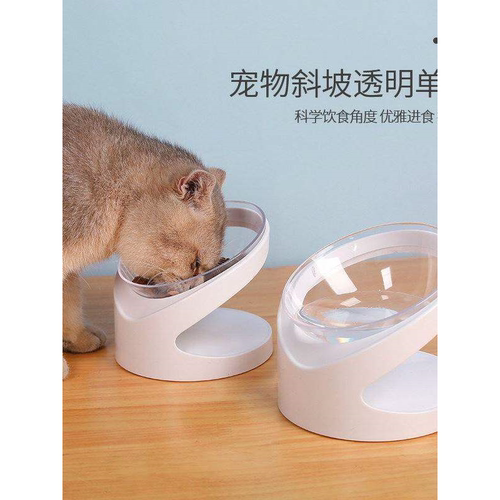 宠物碗猫碗斜口保护颈椎宠物透明食盆饮水喂食两用单碗宠物用品