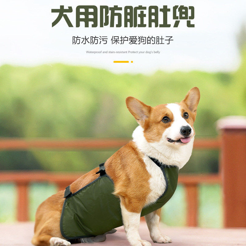 宠物狗狗保护肚兜防水防脏防着凉围裙中大型犬柯基金毛拉布拉多
