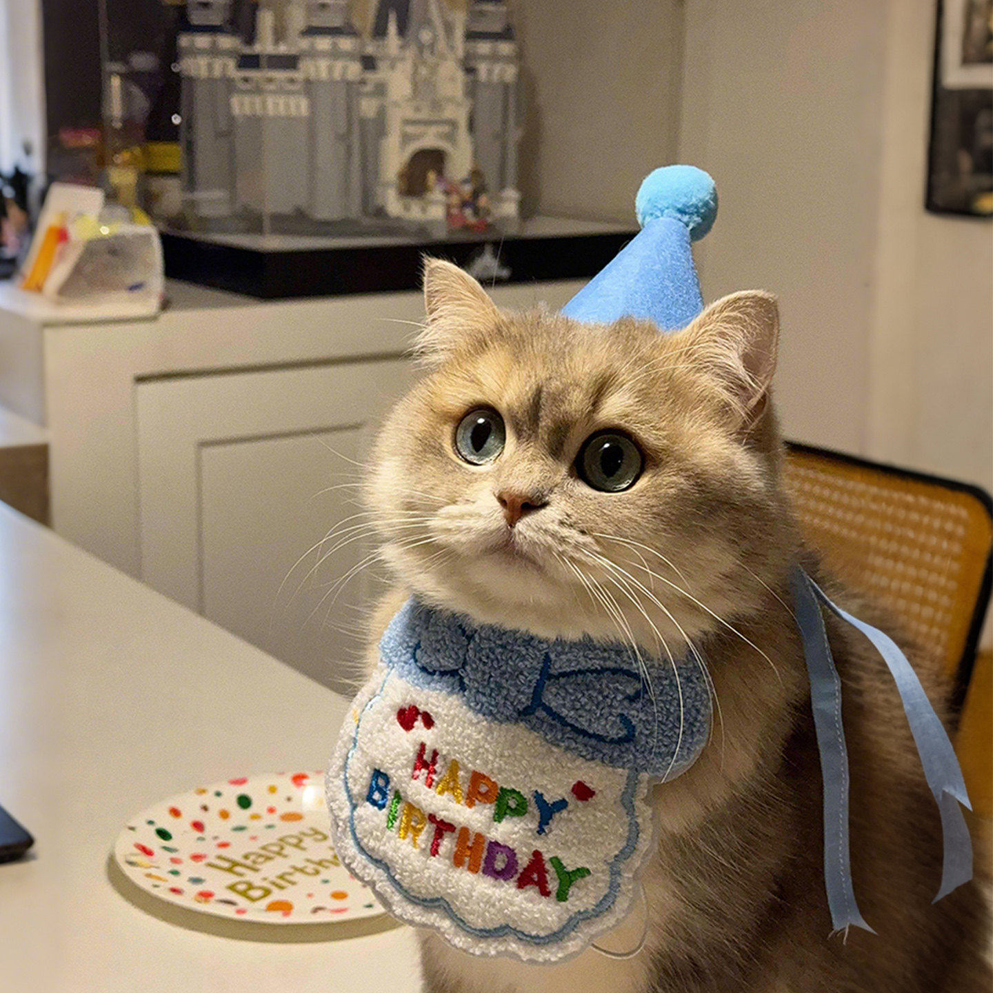 猫咪口水巾可爱围兜生日帽派对装饰套装彩色围兜拍照道具宠物用品
