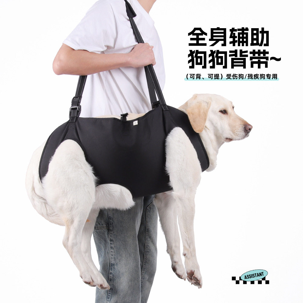 宠物辅助带老年犬残疾犬出行康复