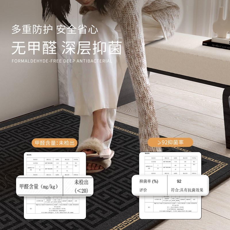 高级入户a门地垫进门入户垫耐磨防滑玄关家用客厅地毯高级轻奢定