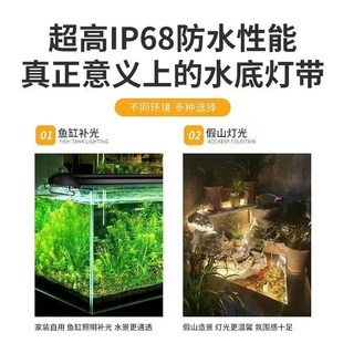 鱼池鱼缸防水led灯带古法养鱼氛围灯低压24V硅胶水下户外泡水专用