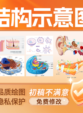 结构示意图SCI科研绘图画图三维动画医学信号通路机制TOC图visio