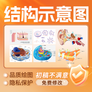 结构示意图SCI科研绘图画图三维动画医学信号通路机制TOC图visio