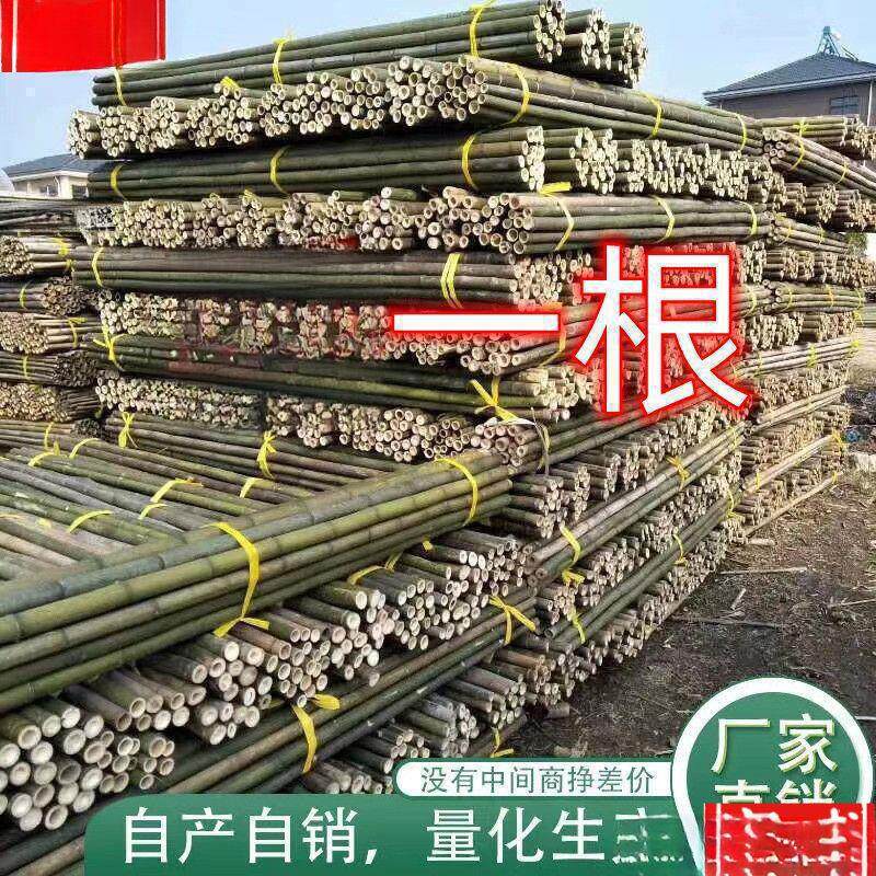 竹竿子搭架竹架子竹子杆菜园竹竿豆角黄瓜西红柿瓜果蔬菜爬藤架杆