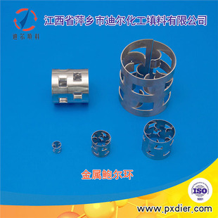 蒸氨塔吸收塔精馏塔专用不锈钢鲍尔环 304/316L鲍尔环填料