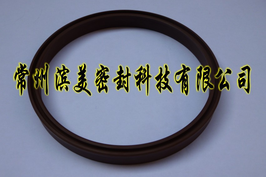 Y形氟胶密封圈