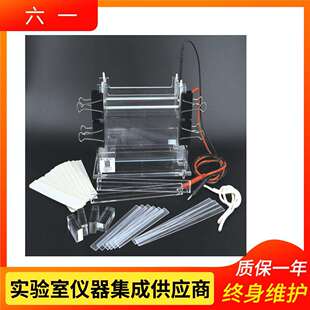 北京六一DYCZ-24B型加宽双垂直电泳仪