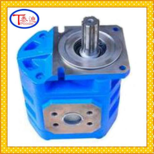 CBGj2100齿轮泵 徐工工作泵 物料号：803006649