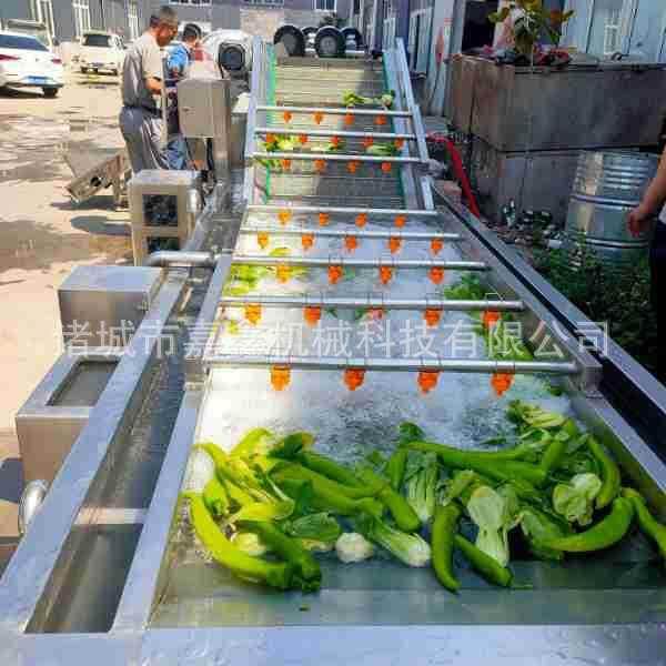 红油香椿芽清洗机全自动气泡清洗机高压喷淋鲜姜老姜姜片洗泥机