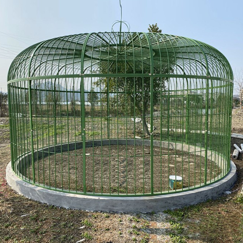 铁艺鸟笼加网金刚鹦鹉笼大鸟笼超大孔雀笼子户外大型装饰鸽子笼