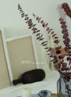 好货绯红尤加利叶子干花枝插花束搭配永生花民宿家居场景布置摆设