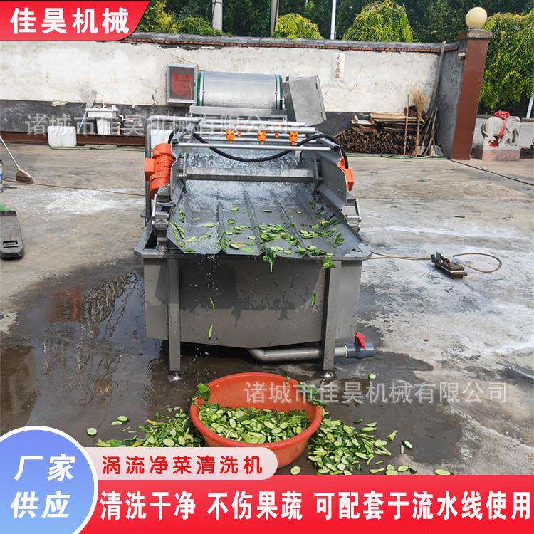 食堂芹菜段清洗机玉米粒涡流清洗机全自动食品加工莲藕涡流清洗机