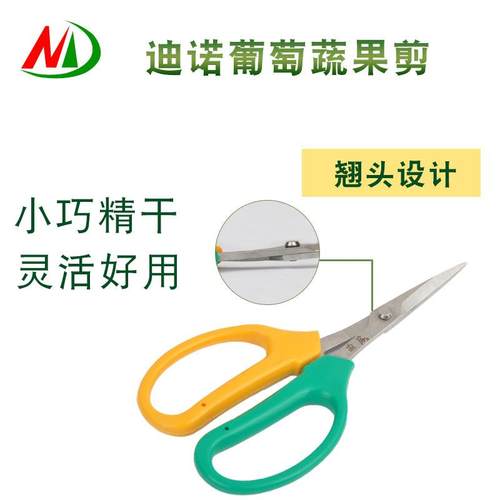 新款直销 剪刀式翘头摘果剪 弯头剪子 摘葡萄稀果剪刀 疏果小剪刀