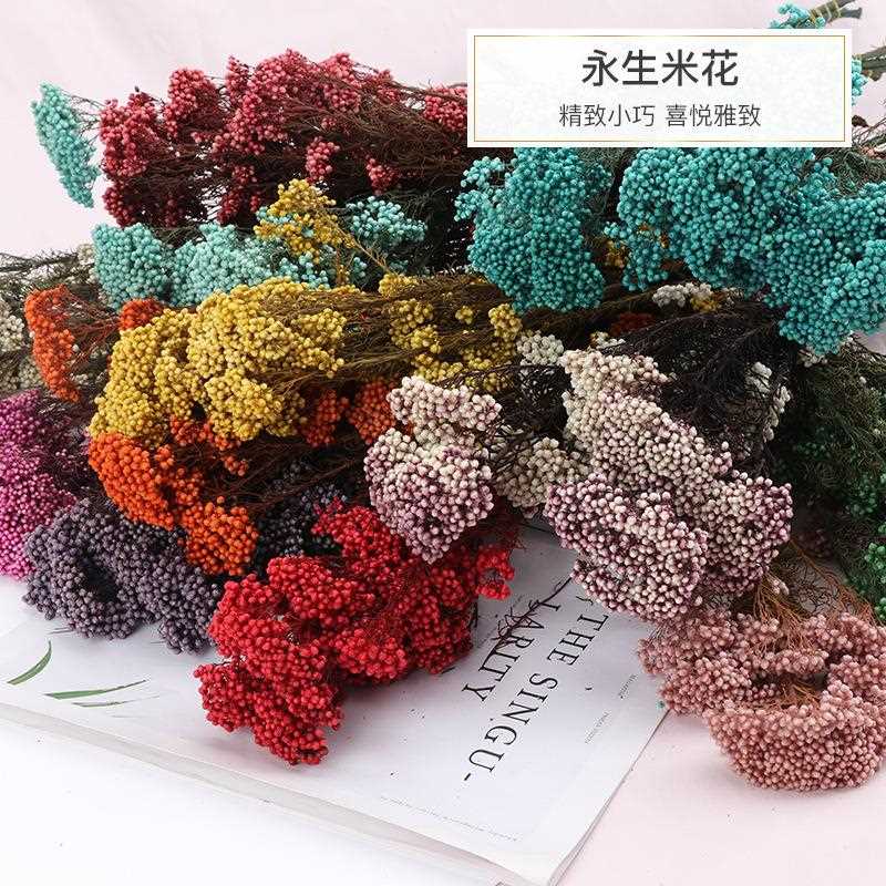 新款直销直供不易掉米彩色永生米花 永生花礼盒配花 家居插花70g