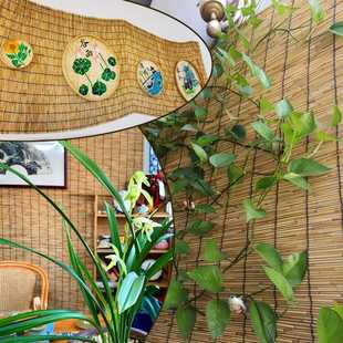 新款直销新中式遮阳遮光芦苇帘 墙面装饰吊顶草帘子跨境隔断升降