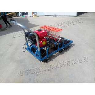 大型蔬菜播种种植机 绿色有机蔬菜播种机 胡萝卜菠菜洋葱种植设备