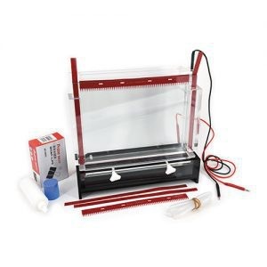 DYCZ-20C型DNA序列分析电泳仪 六一 仪器