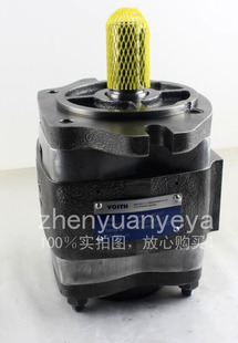 111 IPVP7 IPV7 VOITH 200 125 160 250 福伊特IPVP7