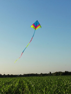 追风者新款冲天追风筝成人大型高档伞布碳杆风筝带尾大风放飞稳定