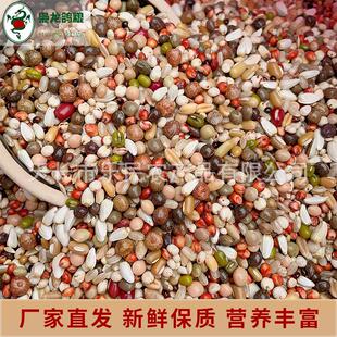 育雏2号10公斤喷窝育雏饲料鸟食赛鸽信鸽鸽子粮