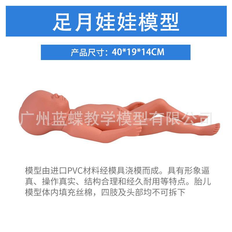 40CM而足月儿模型由进PVC胎材料经模口具浇模成体内填充丝棉