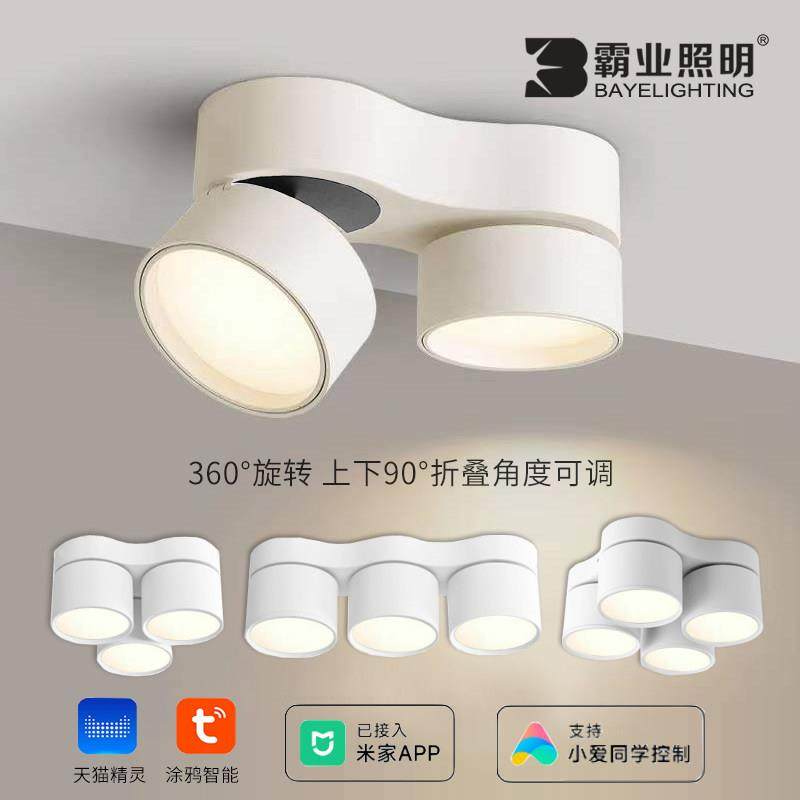 明装筒灯可调角度客厅无主灯双头三头涂鸦智能三色变光吸顶斗胆灯