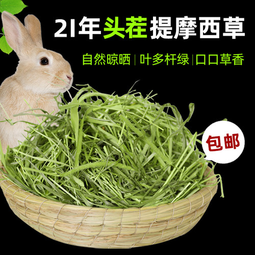 极速2021 timothy grass hay forage grass rabbit rabbit food
