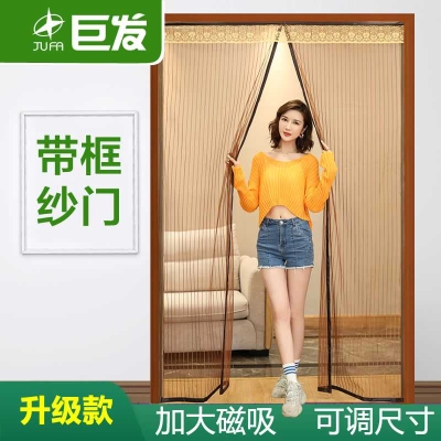 防蚊纱窗纱网门帘防蚊家用大门纱门加密静音防虫软纱门帘 夏季 新品