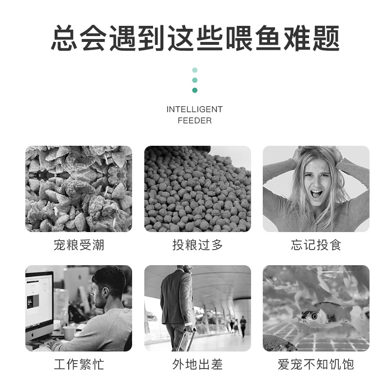 自动喂食器鱼缸喂鱼神器智能定时定量防飘散热带鱼小型鱼料投料机
