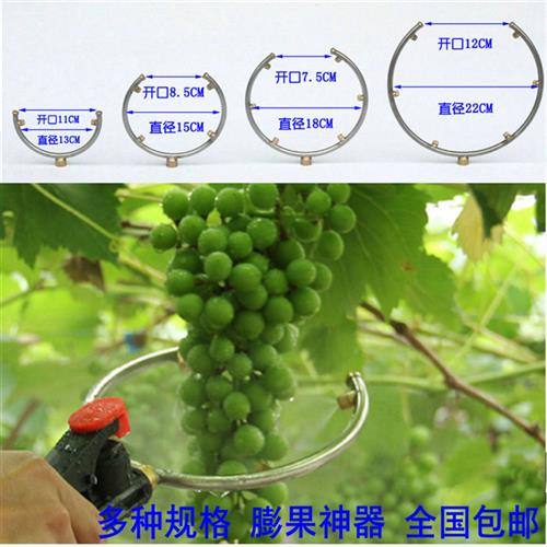 黄瓜猕猴桃葡萄开放式拉花拉穗膨果浸果器催红澎大喷树干雾化喷头