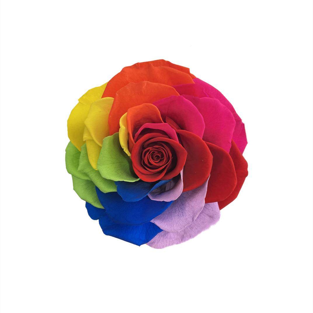 云南花c者永生花厂家巨玫瑰-10m单9朵型包装095多色可选现货,家居饰品,餐桌花艺,淘宝优惠券,粉丝福利购,淘宝优惠卷