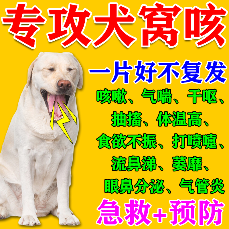 犬窝咳特效药狗狗感冒药专用止咳