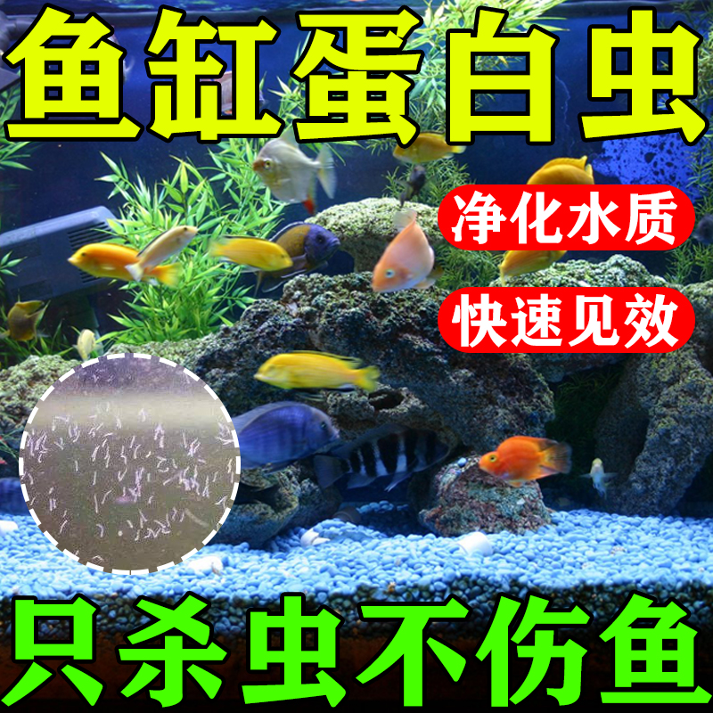 亚硝基蓝水族鱼病专用鱼缸清除剂
