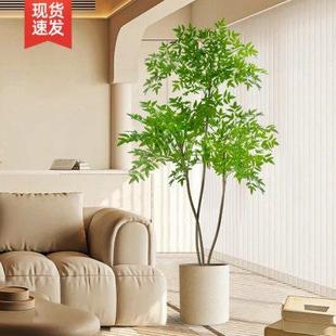 饰南天竹仿真绿植家居软装 电视柜落地摆件轻奢高档客厅大型装 好物