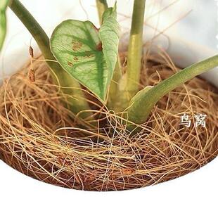 椰棕丝椰维绿纤植铺面透AL-61317气纤多肉人掌花盆覆盖装饰仙椰维